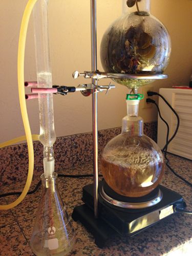 worldsacredgardens-03