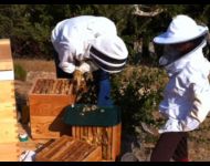 worldsacredgardens-02