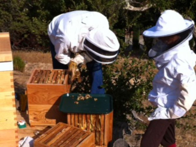 worldsacredgardens-02