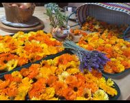 worldsacredgardens-04