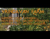 worldsacredgardens-08