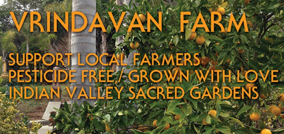 worldsacredgardens-08