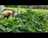 worldsacredgardens-01