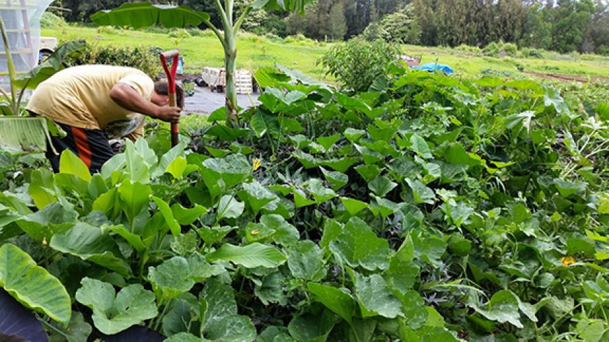 worldsacredgardens-01