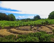 worldsacredgardens-07