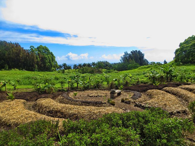 worldsacredgardens-07