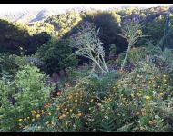 worldsacredgardens-06