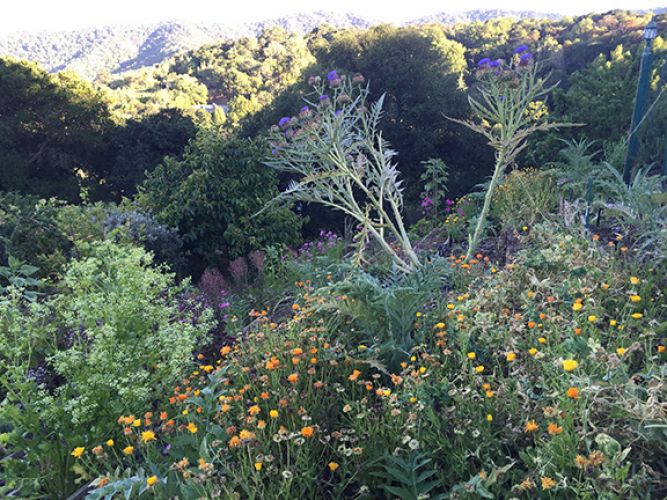 worldsacredgardens-06