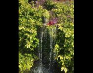 worldsacredgardens-05